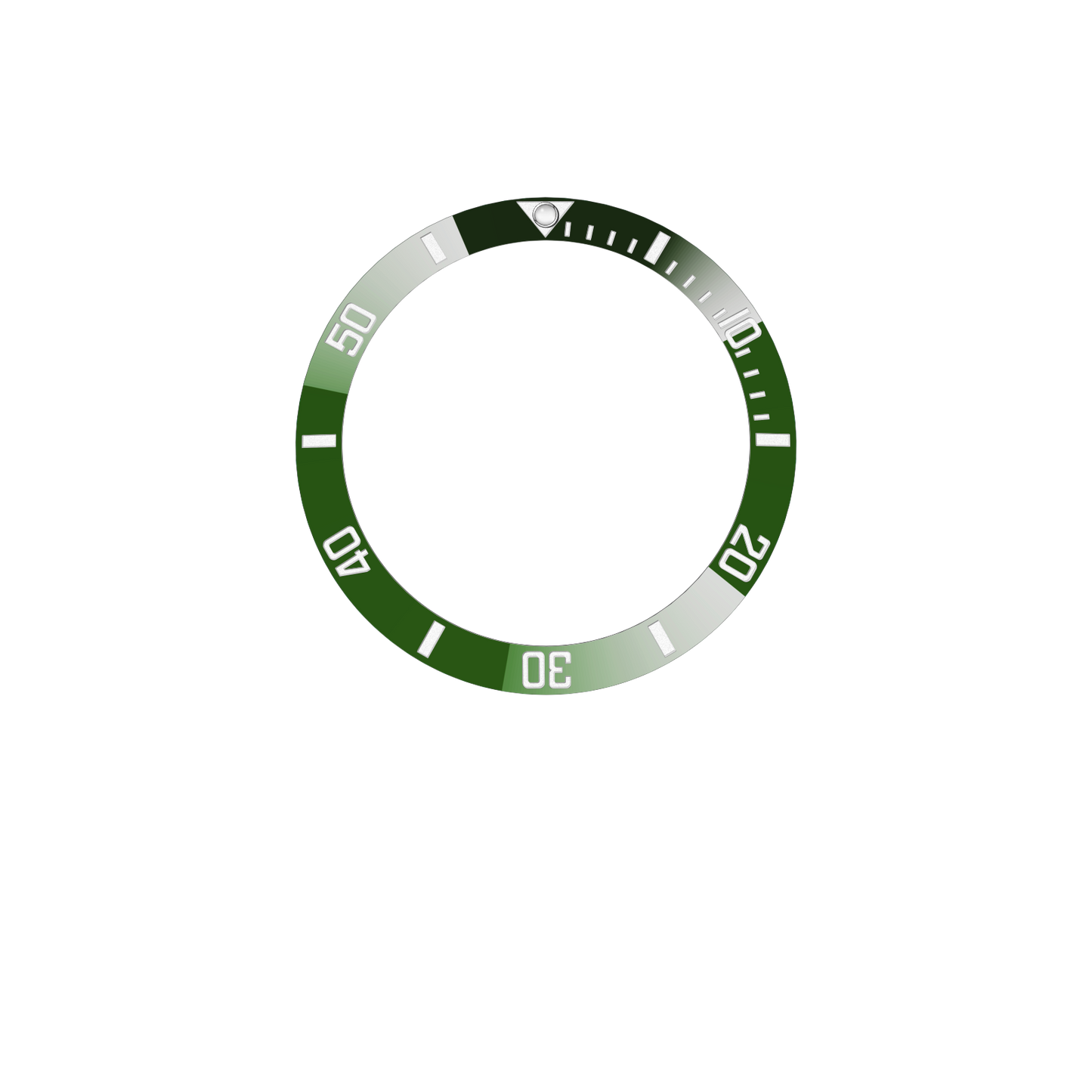 DIVEMASTER Bezel Insert