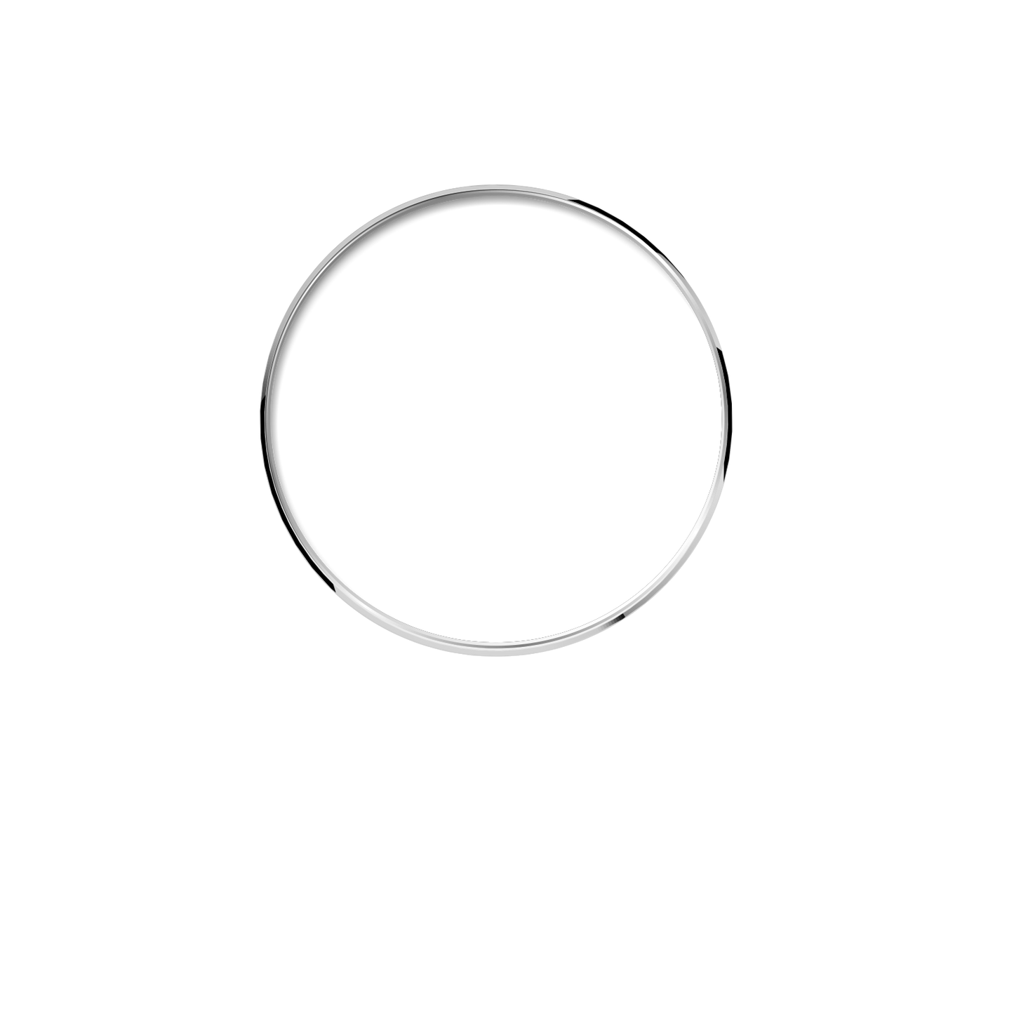 316L 外圈(316L Bezel) 4.24