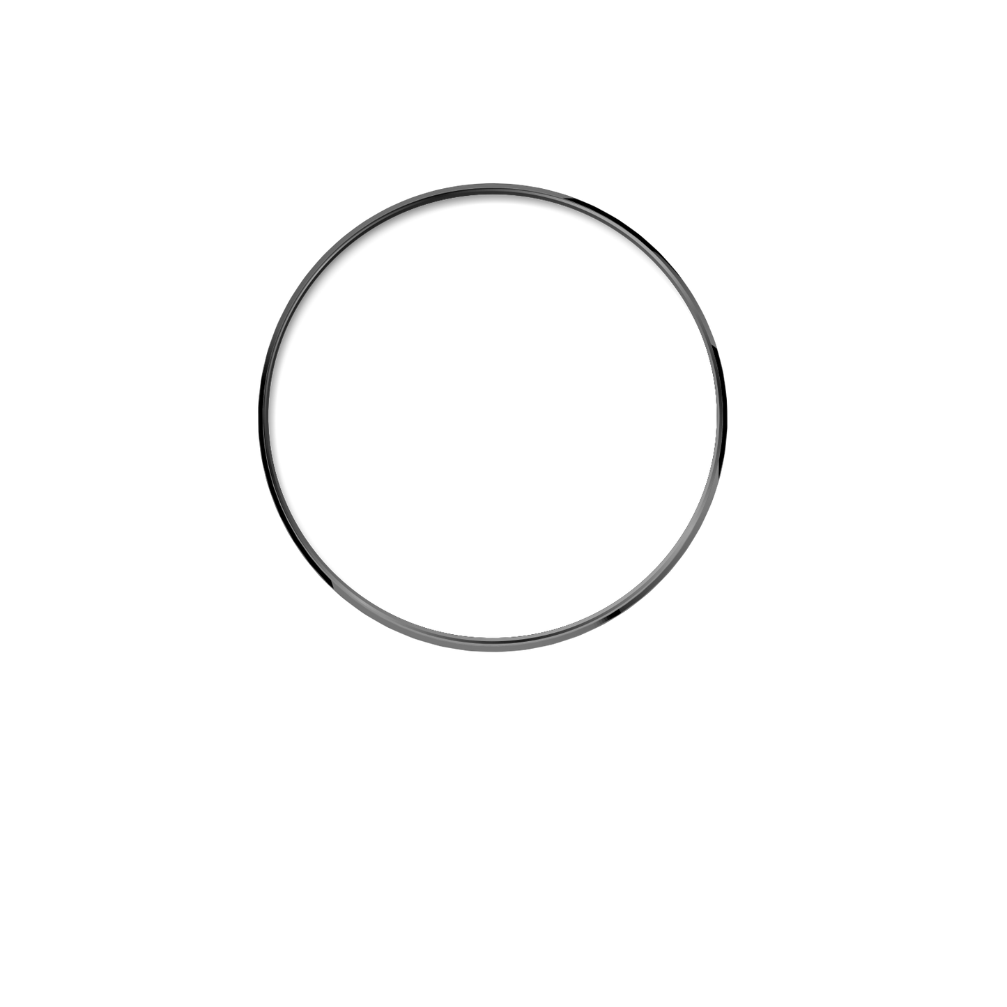 316L 外圈(316L Bezel) 4.24