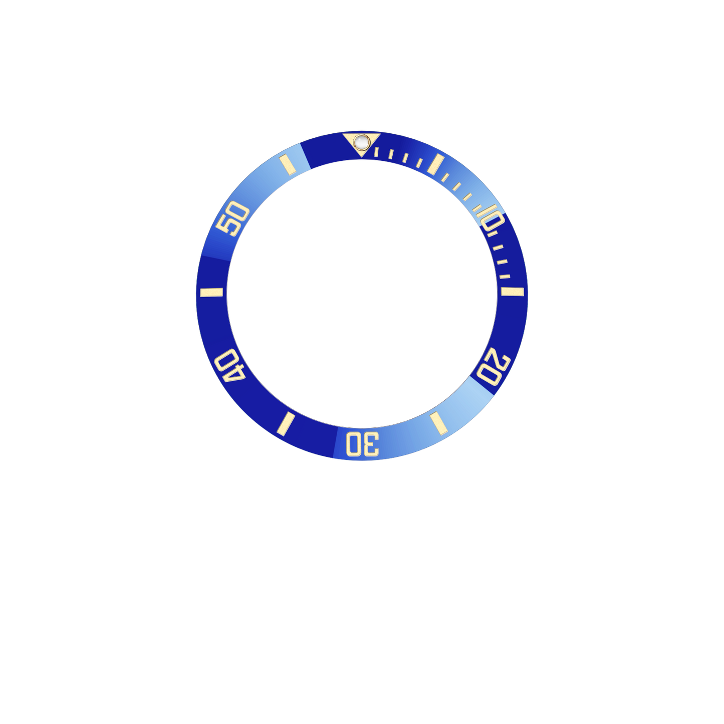 DIVEMASTER Bezel Insert